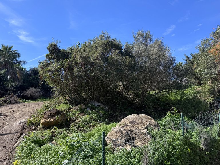 Plot for Sale in Alcaidesa, Cadiz 11