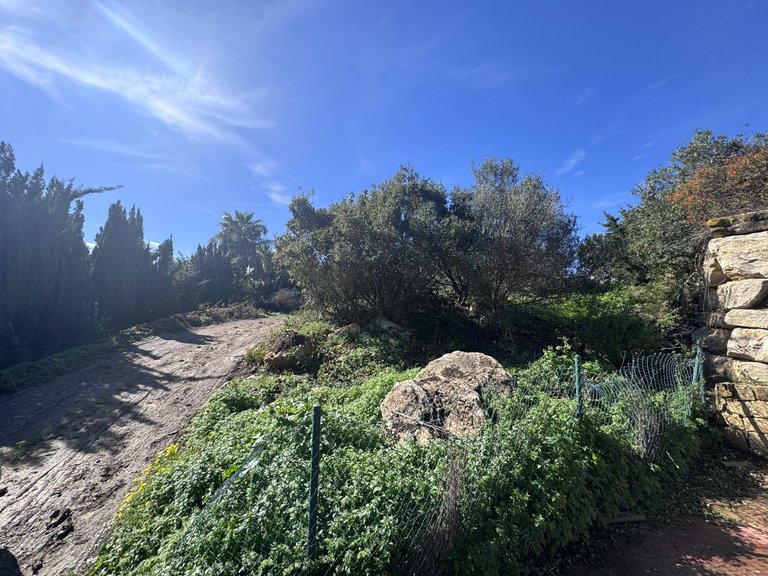 Plot for Sale in Alcaidesa, Cadiz 12