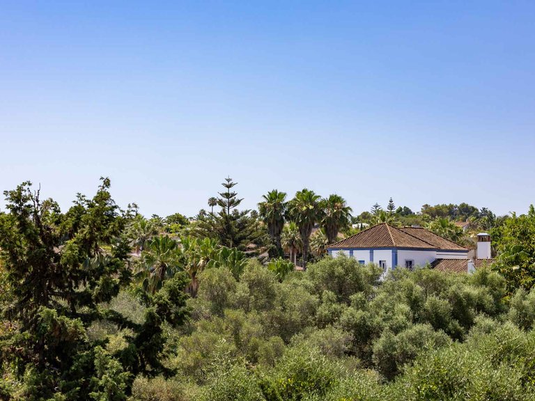 Villa for Sale in Zona B, Sotogrande, Cadiz 25