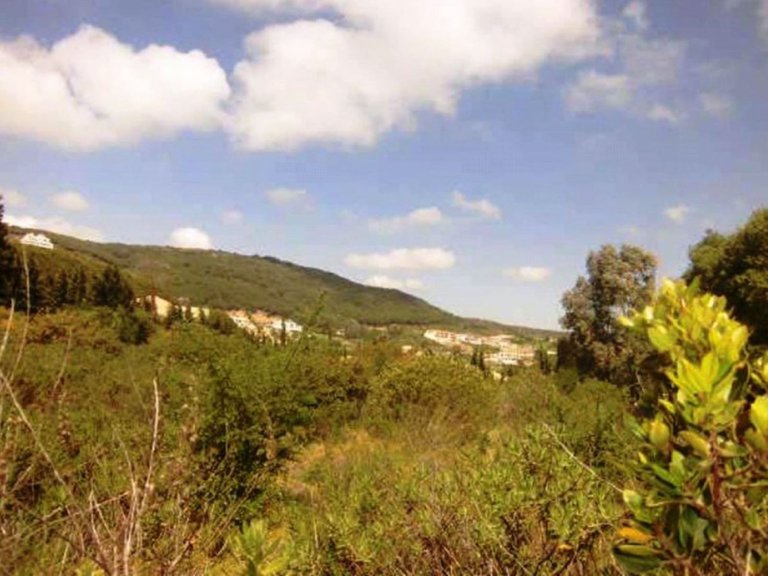 Plot for Sale in Zona L, Sotogrande, Cadiz 12