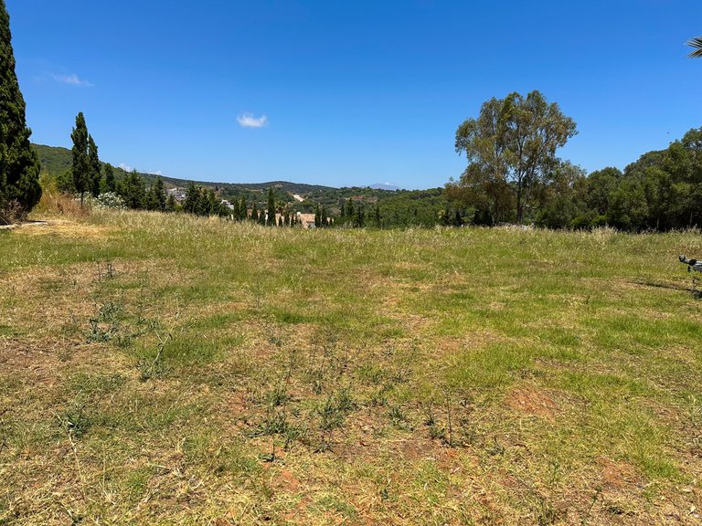 Plot for Sale in Zona L, Sotogrande, Cadiz 7