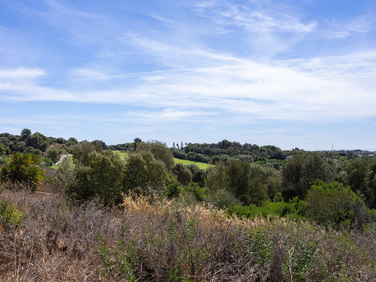Plot for Sale in Zona L, Sotogrande, Cadiz 18