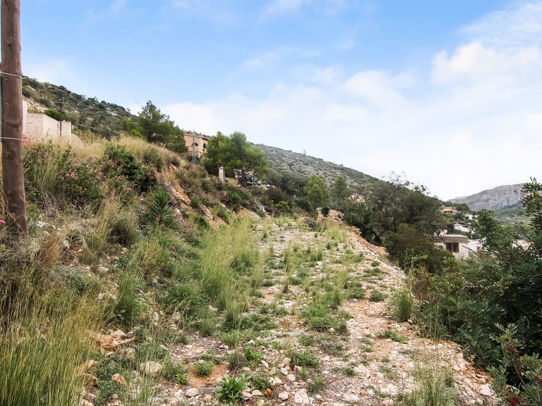 Plot for Sale  in Alcalali, Alicante 7