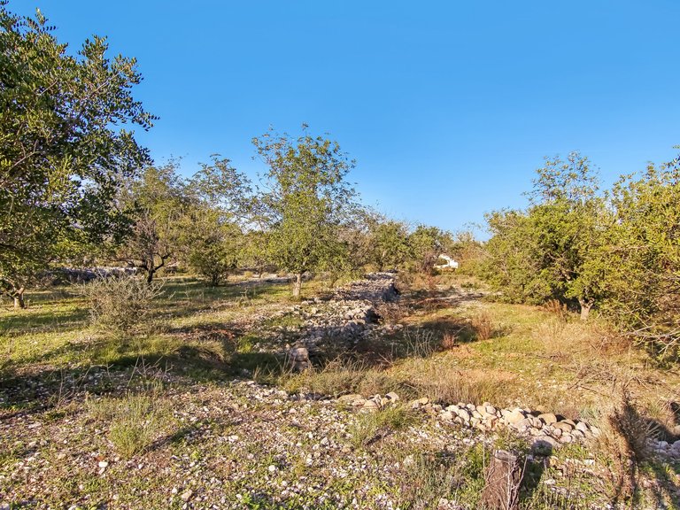 Plot for Sale in  Alicante 3