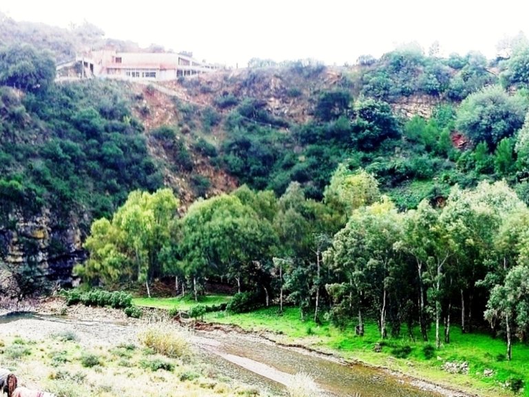 Villa for Sale in  Malaga 29