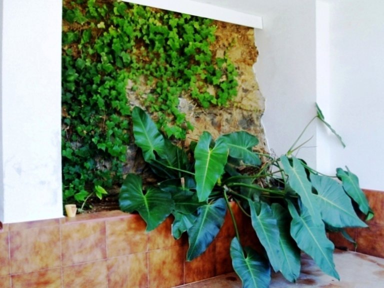 Villa for Sale in  Malaga 28