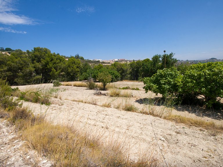 Plot for Sale  in Benissa, Alicante 4