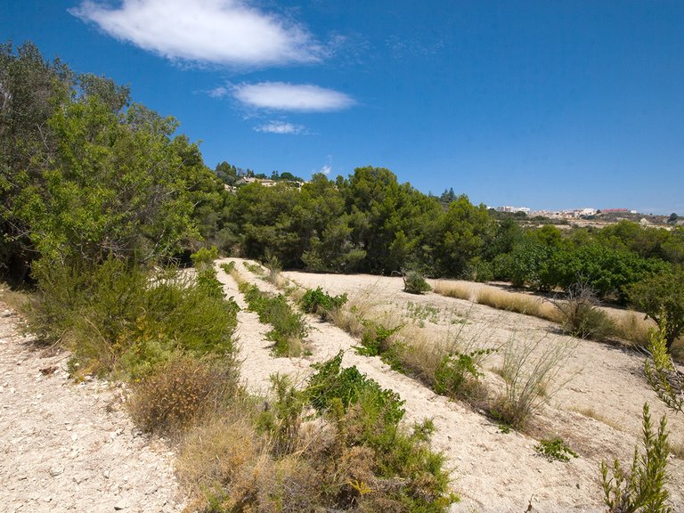 Plot for Sale  in Benissa, Alicante 8
