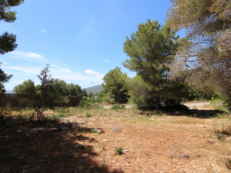 Plot for Sale  in Xàbia, Alicante 3