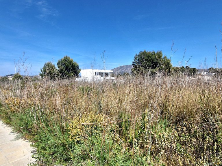 Plot for Sale  in Teulada, Alicante 3