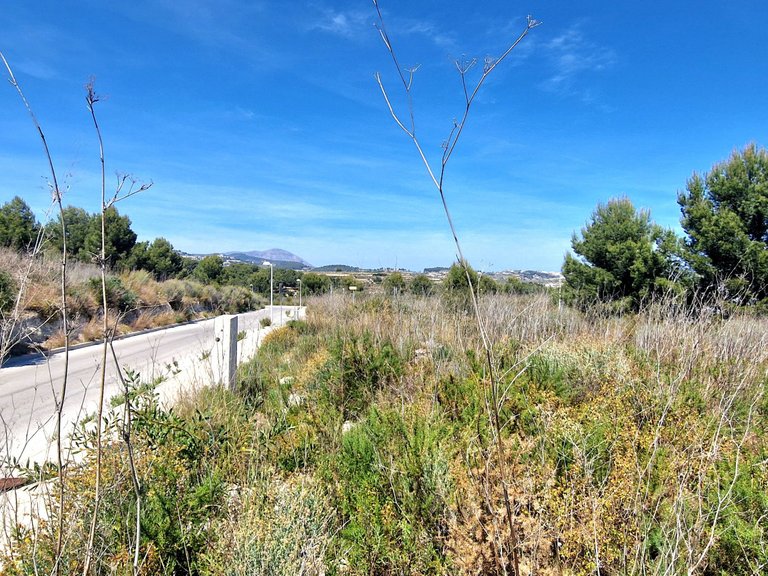 Plot for Sale  in Teulada, Alicante 2
