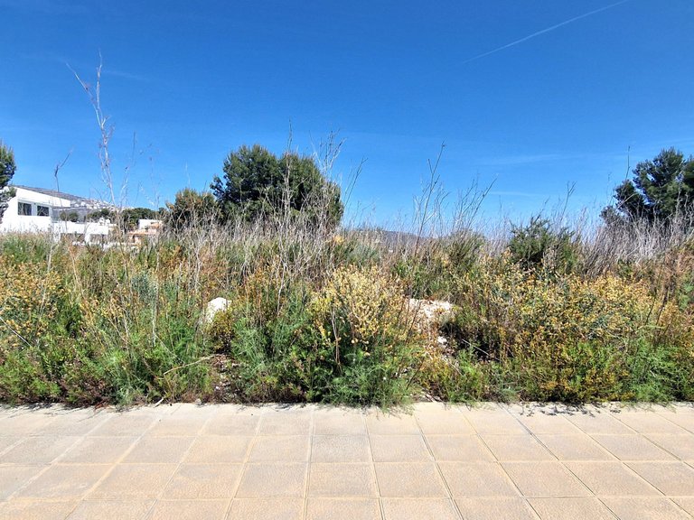 Plot for Sale  in Teulada, Alicante 5