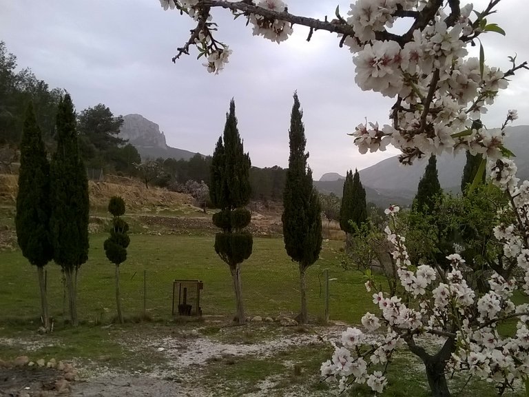 Plot for Sale  in Benissa, Alicante 10