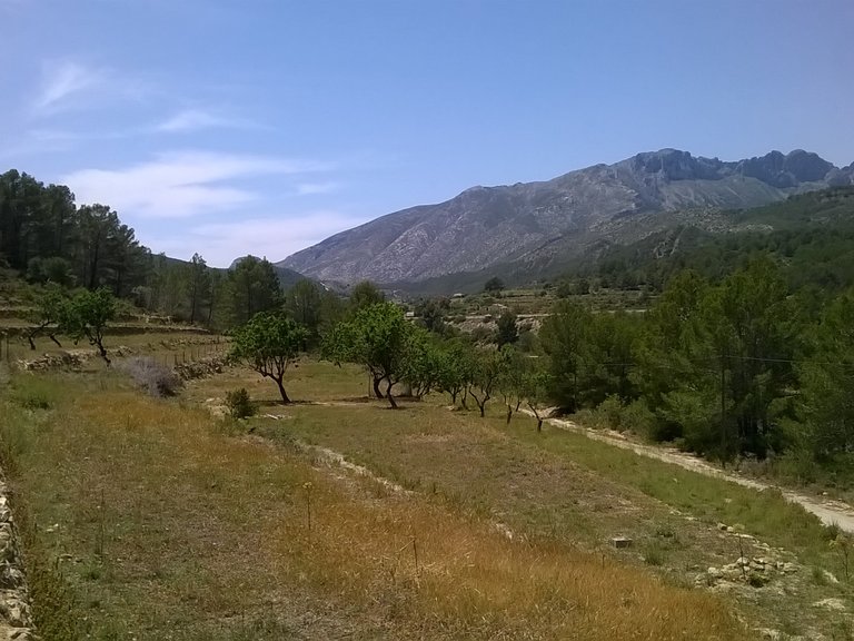 Plot for Sale  in Benissa, Alicante 2