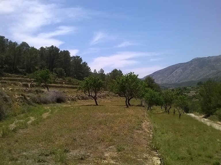 Plot for Sale  in Benissa, Alicante 5