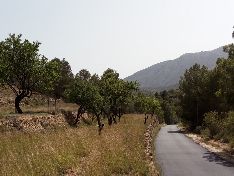 Plot for Sale  in Benissa, Alicante 11