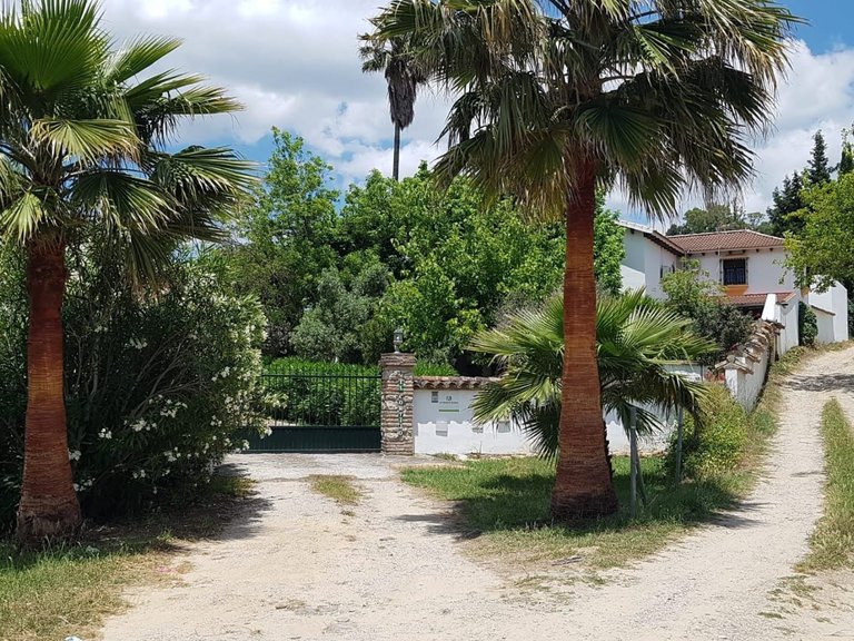 Villa for Sale  in Jimena de La Frontera, Cadiz 16