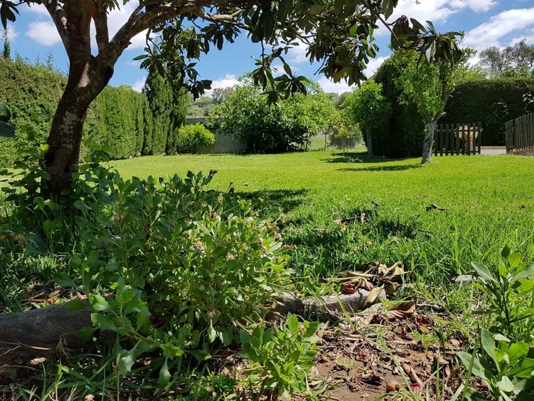 Villa for Sale  in Jimena de La Frontera, Cadiz 17