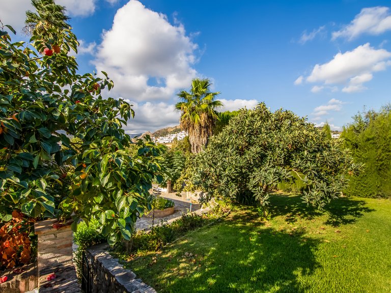 Villa for Sale  in Jimena de La Frontera, Cadiz 5