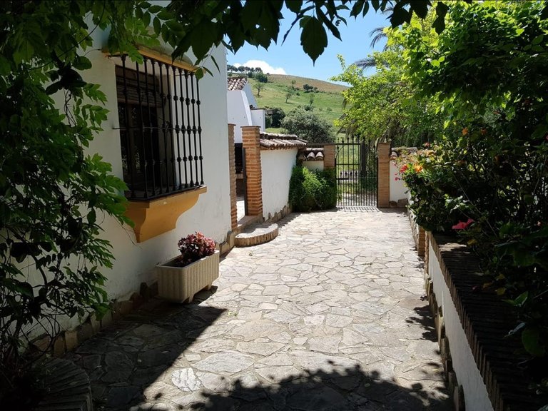 Villa for Sale  in Jimena de La Frontera, Cadiz 13