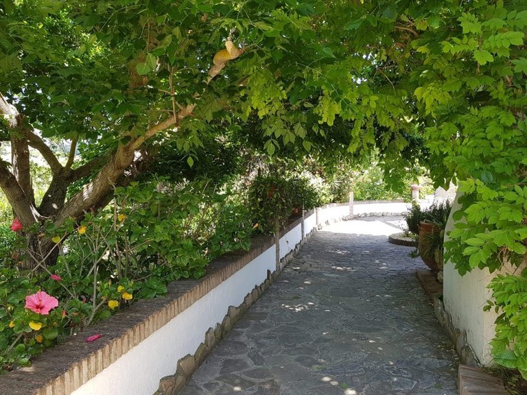Villa for Sale  in Jimena de La Frontera, Cadiz 10