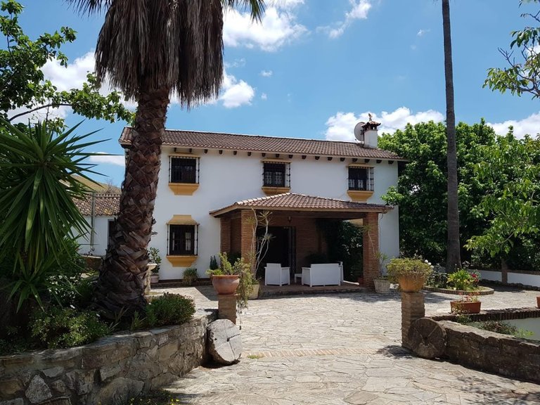 Villa for Sale  in Jimena de La Frontera, Cadiz 14