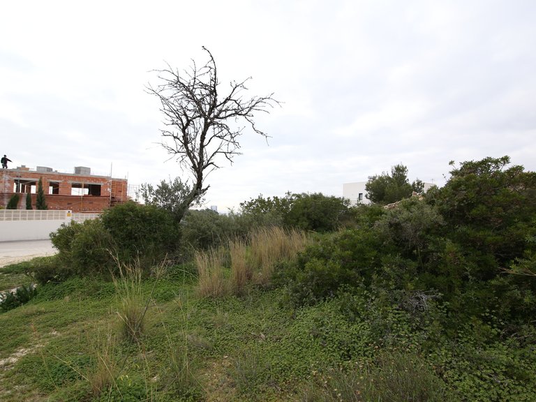 Plot for Sale  in Calp, Alicante 4