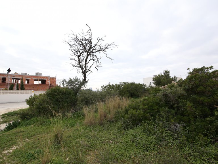 Plot for Sale  in Calp, Alicante 7