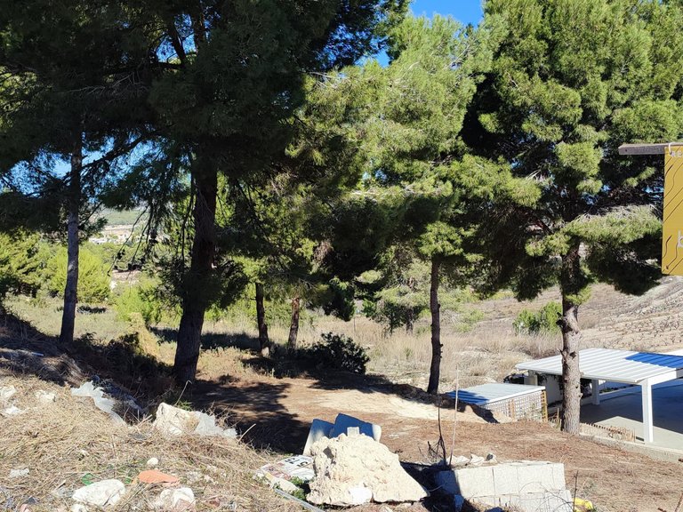 Plot for Sale  in Teulada, Alicante 5