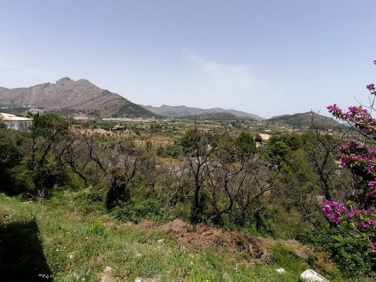 Villa for Sale  in Parcent, Alicante 6