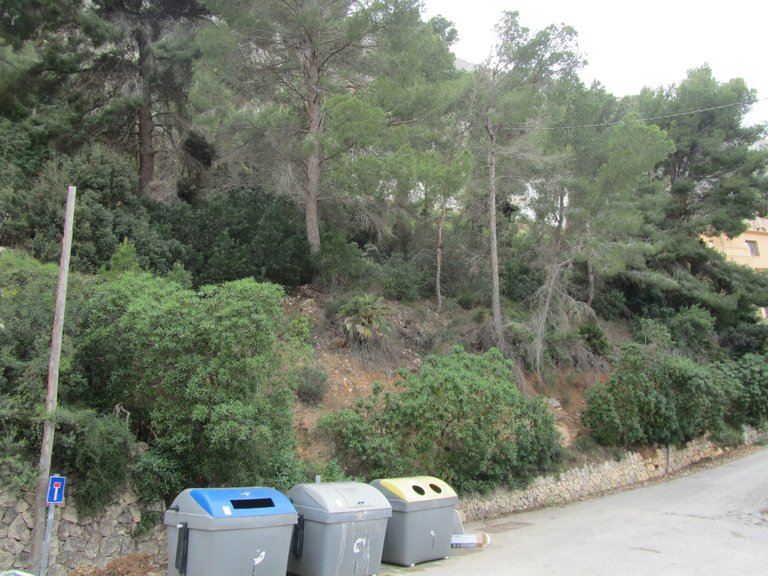 Plot for Sale  in Calp, Alicante 2