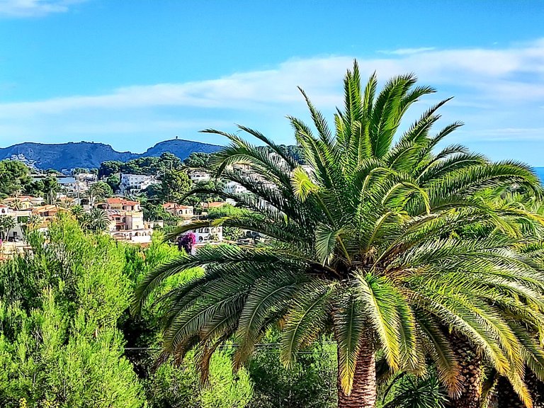 Villa for Sale in  Alicante 23