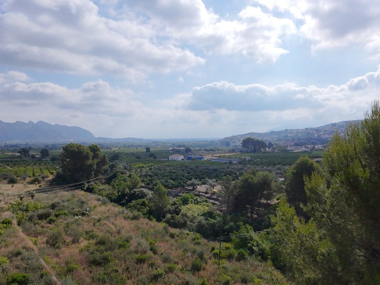 Plot for Sale in  Alicante 4