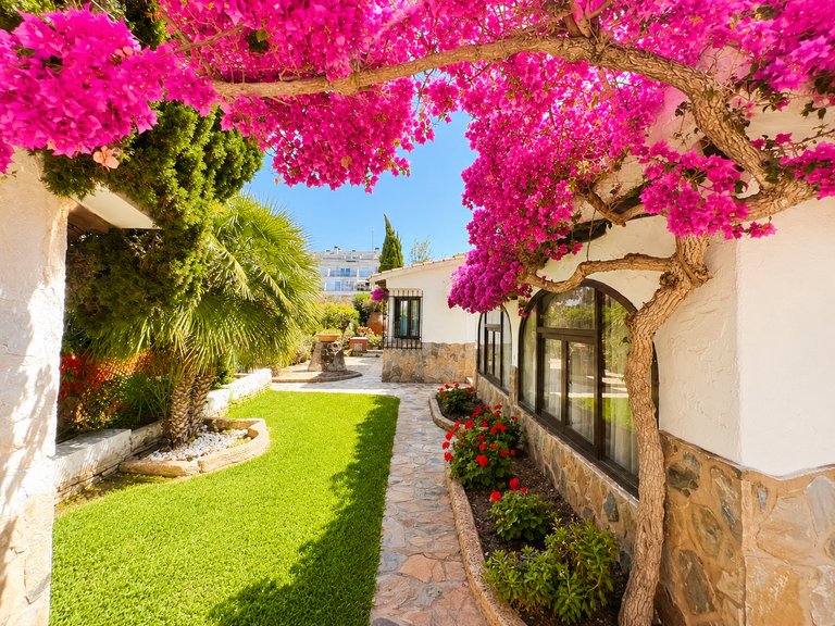 Villa for Sale  in Denia, Alicante 29
