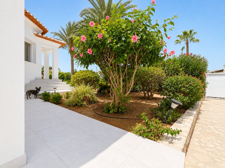 Villa for Sale  in Denia, Alicante 42