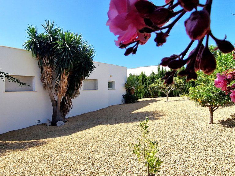 Villa for Sale in  Alicante 29