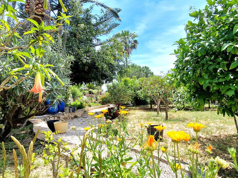 Villa for Sale  in Teulada, Alicante 31