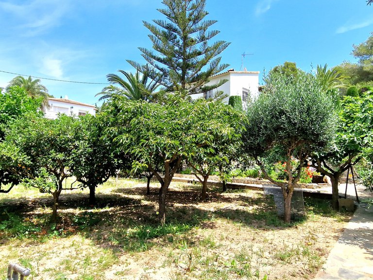 Villa for Sale  in Teulada, Alicante 30