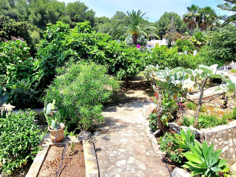 Villa for Sale  in Teulada, Alicante 29