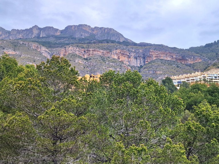Villa for Sale  in Altea, Alicante 5