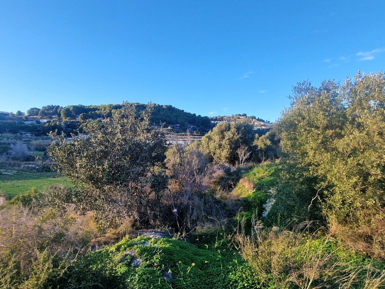 Plot for Sale  in Teulada, Alicante 11