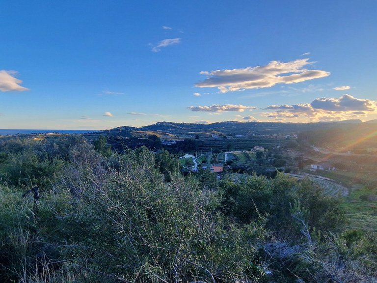 Plot for Sale  in Teulada, Alicante 7