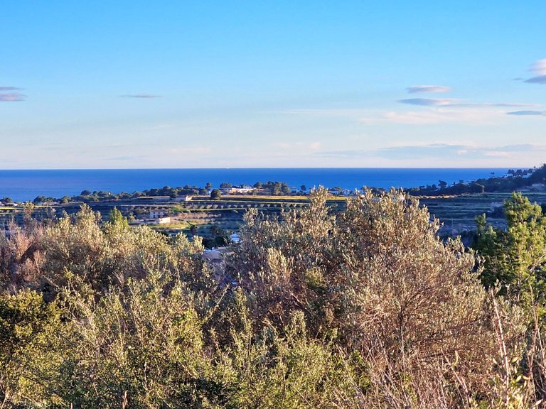 Plot for Sale  in Teulada, Alicante 3