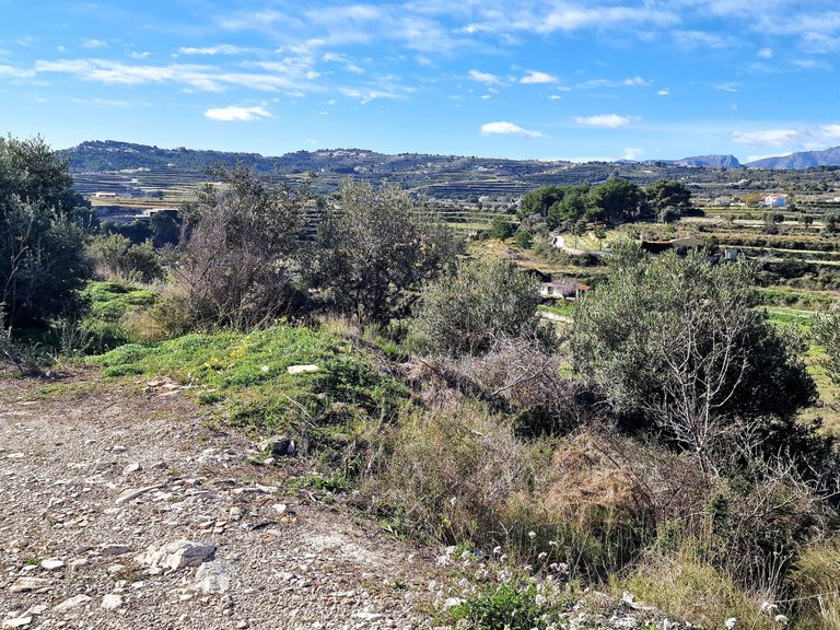 Plot for Sale  in Teulada, Alicante 8
