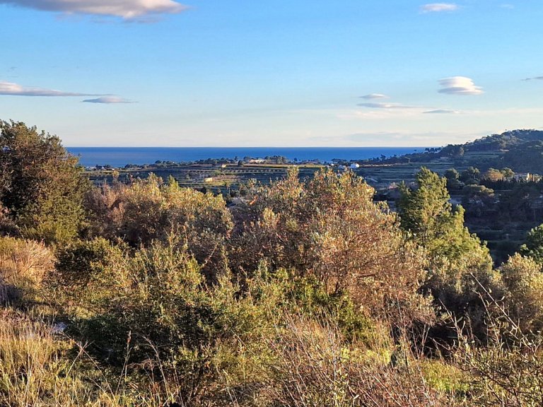 Plot for Sale  in Teulada, Alicante 2
