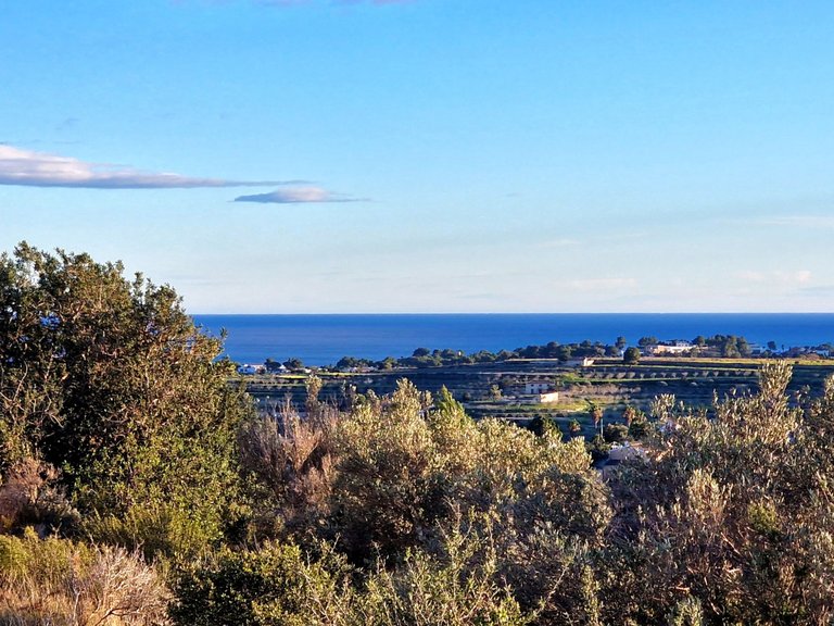 Plot for Sale  in Teulada, Alicante 5