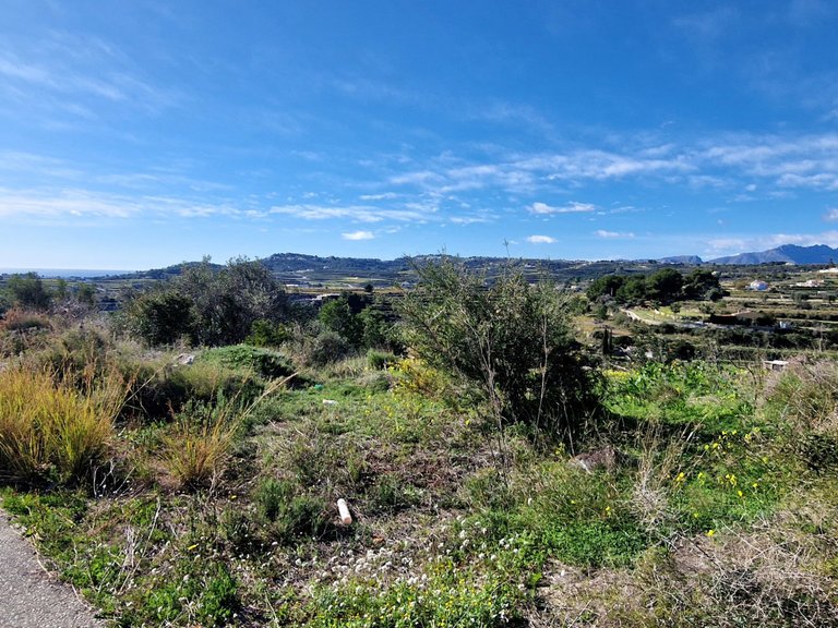 Plot for Sale  in Teulada, Alicante 9