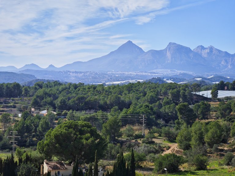 Villa for Sale  in Altea, Alicante 40