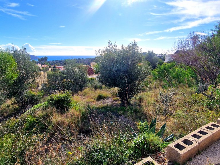 Plot for Sale  in Teulada, Alicante 5