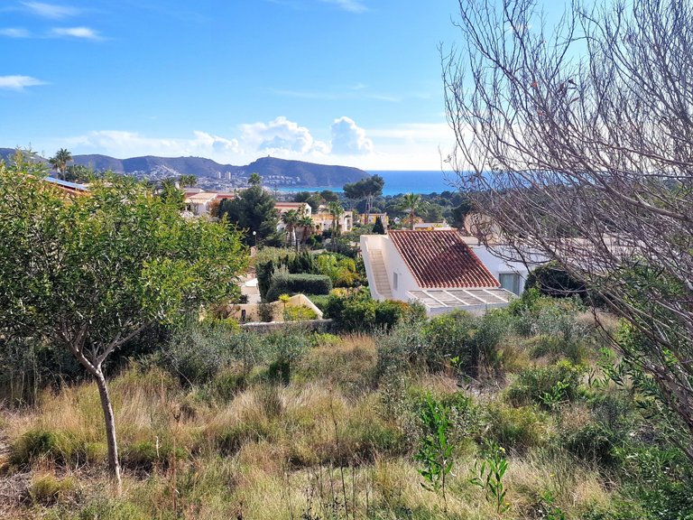 Plot for Sale  in Teulada, Alicante 3